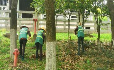 养护员的述职报告5篇