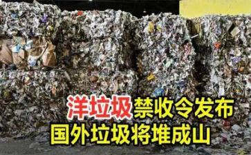洋垃圾工作总结6篇
