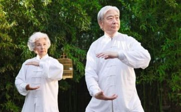 养老活动方案7篇