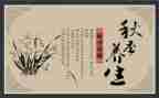 养生课心得5篇