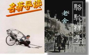 样子演讲稿7篇