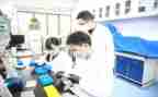 研究和调查报告优秀8篇