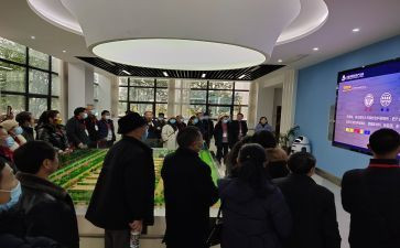 2024年度研修总结5篇
