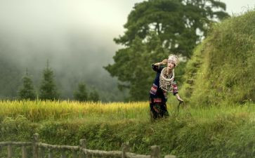 瑶族舞曲音乐教案5篇