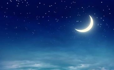 圣诞夜活动总结精选7篇