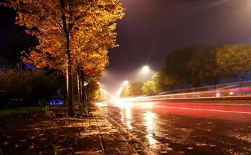 绿色的夜读后感6篇