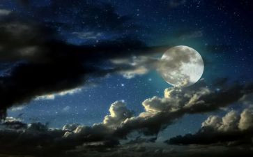雨夜作文500字7篇