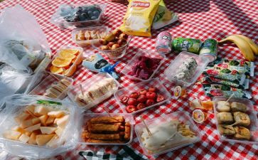 小猪野餐教案7篇