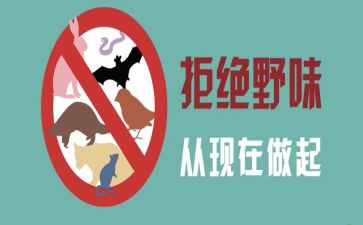 敬畏自然拒绝野味的演讲稿5篇
