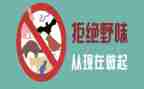 敬畏自然拒绝野味的演讲稿5篇