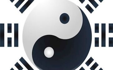 读了易经的心得5篇