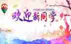 辞旧迎新2024年作文模板5篇