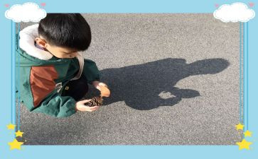 幼儿大班踩影子教案6篇