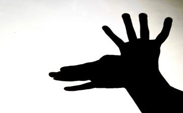 科学有趣的影子教案6篇