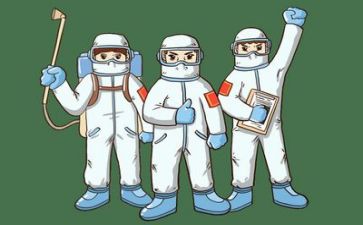 疫情报告总结范文5篇