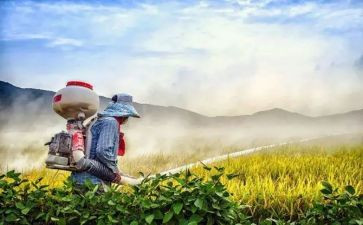 以我为傲的作文推荐8篇