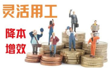 教师聘用工作总结6篇