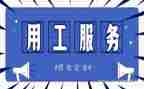 年检用工作总结5篇