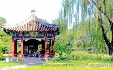 游园主题活动方案5篇