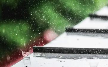 春天的雨中班教案优秀8篇