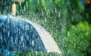 雨中班语言活动教案优秀5篇