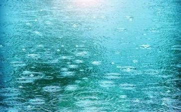 彩色的雨小班美术教案5篇