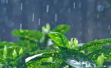 下雨时作文600字优质6篇