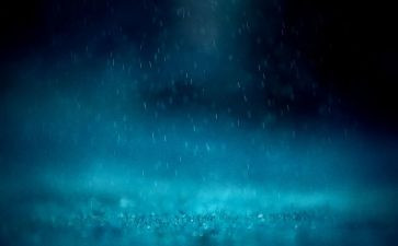 大班秋天的雨教案5篇