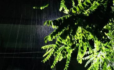 关于雨的活动总结通用8篇