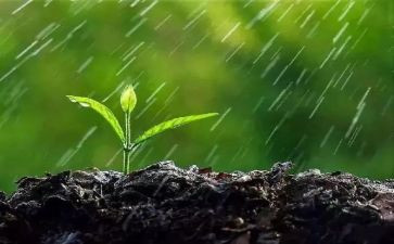 关于雨的活动总结推荐8篇