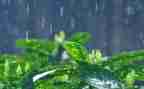 父亲的雨读后感优质5篇