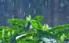 下雨时作文600字优质6篇