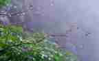 幼儿园春天的雨教案优秀8篇
