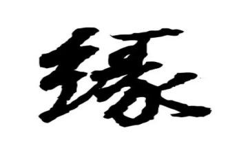 书香缘演讲稿8篇