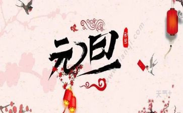 中班元旦节教案5篇