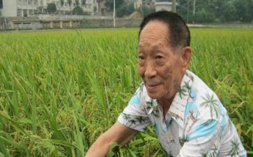 写袁隆平的优秀作文通用6篇