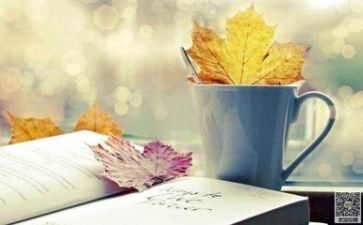 全阅读培训心得体会最新5篇