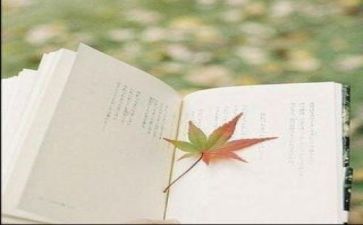 《阅读》演讲稿范文优秀7篇