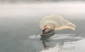 渔夫和鱼读后感8篇
