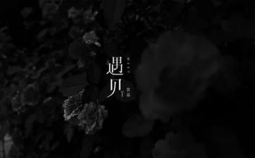 《遇见》初中作文模板5篇