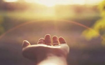 又遇见你作文5篇