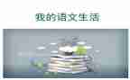 语文个人总结教师个人总结优秀8篇