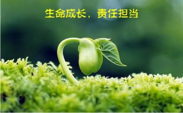 关于爱与责任的演讲稿7篇