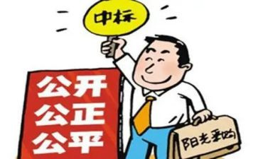 招标周工作总结最新8篇