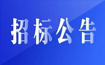招标办个人工作总结6篇