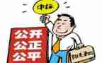 招标周工作总结最新8篇