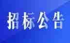 招标办个人工作总结6篇