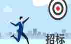 投招标工作总结5篇