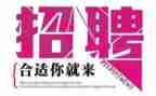 局招聘工作总结最新5篇
