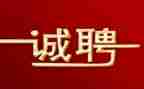 人事招聘工作总结8篇
